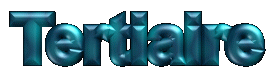 TERTIAIRE